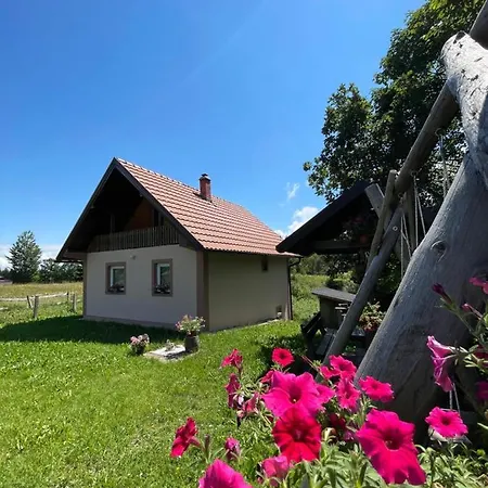 Vikendica Jovanovic Bajina Basta Exterior photo
