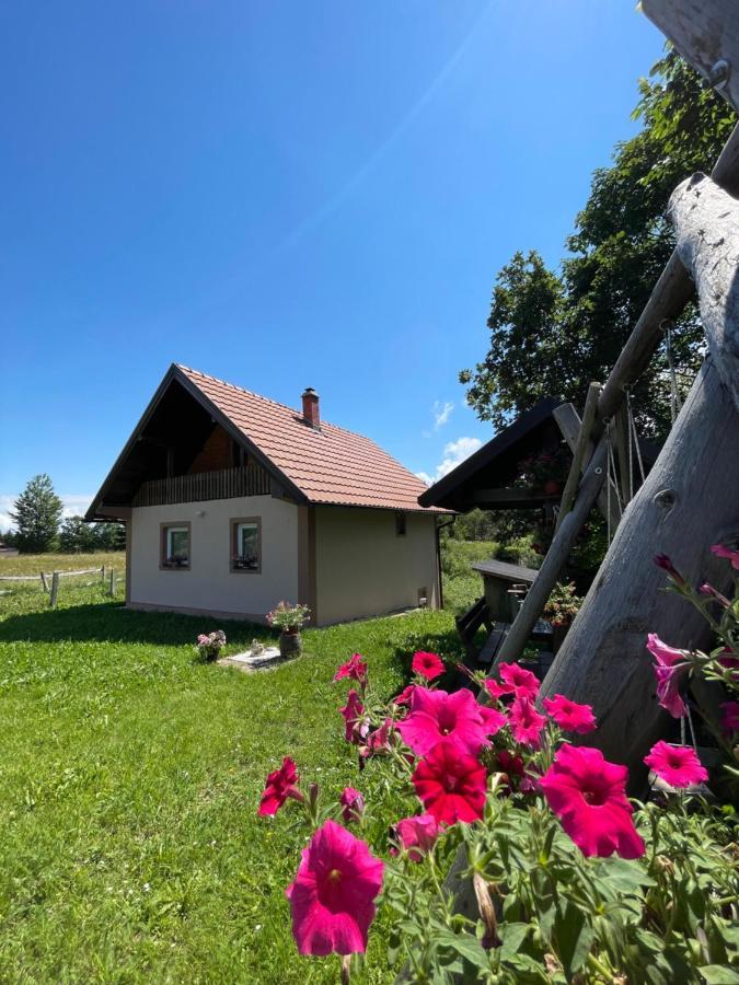 Ferienhaus Vikendica Jovanovic Bajina Basta